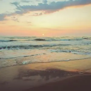 Beach Local