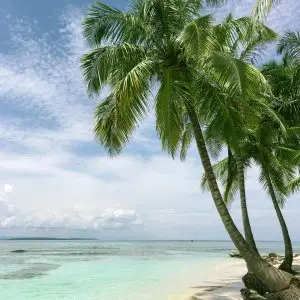 Beach Insider Plus