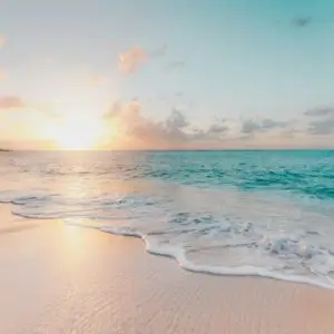 Beach Insider Pro